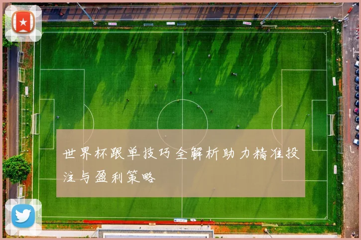世界杯跟单技巧全解析助力精准投注与盈利策略