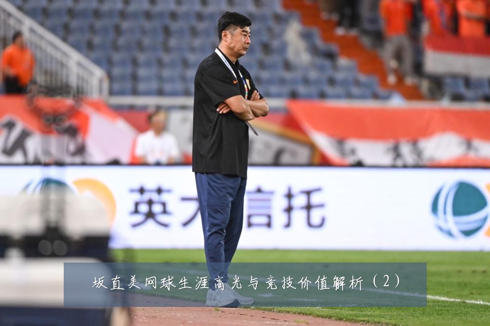 坂直美网球生涯高光与竞技价值解析(2)