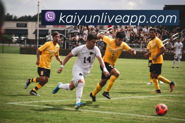 开云娱乐全站App